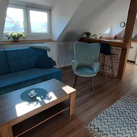Urocze Studio Z Klimatem W Centrum Legnicy Λέγκνικα Εξωτερικό φωτογραφία