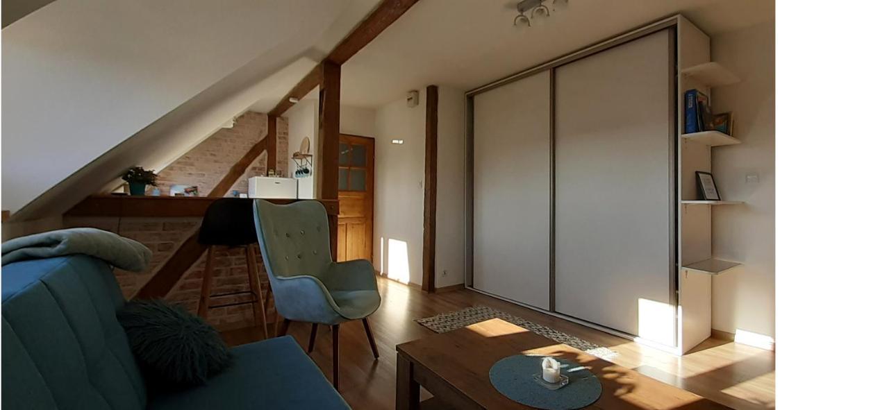 Urocze Studio Z Klimatem W Centrum Legnicy Λέγκνικα Εξωτερικό φωτογραφία
