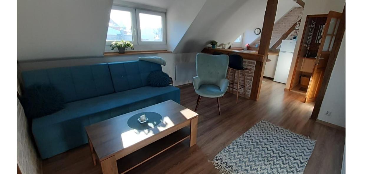 Urocze Studio Z Klimatem W Centrum Legnicy Λέγκνικα Εξωτερικό φωτογραφία